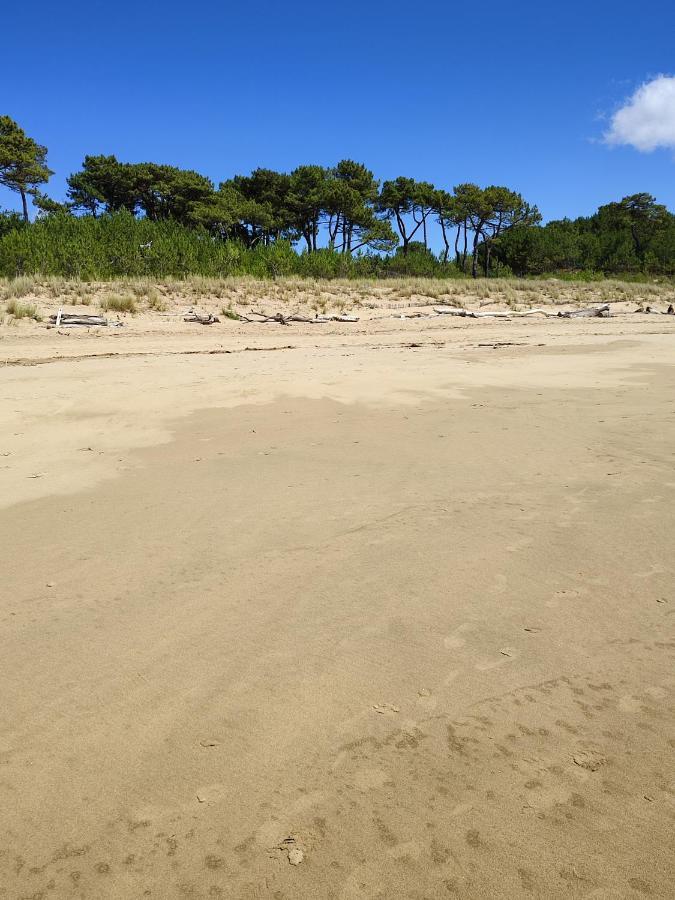 Idealement Situe, Tout A Pied, 60M2 Saint-Georges-de-Didonne Luaran gambar